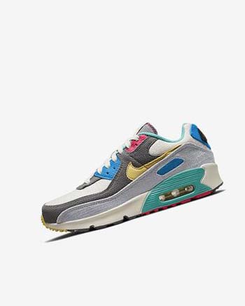 Buty Codzienne Chłopięce Nike Air Max 90 Szare Różowe | PL_5133