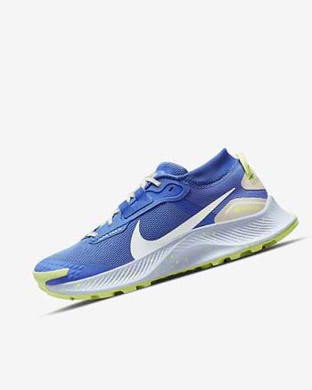 Buty Do Biegania W Terenie Damskie Nike Pegasus Trailowe 3 GORE-TEX Nieprzemakalne Niebieskie Brązowe Szare | PL_5373