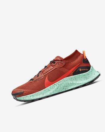 Buty Do Biegania W Terenie Męskie Nike Pegasus Trailowe 3 GORE-TEX Nieprzemakalne Pomarańczowe Czarne Pomarańczowe Czerwone | PL_2660