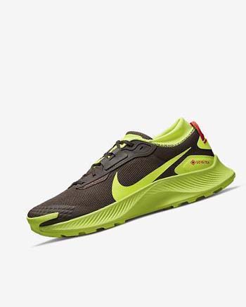 Buty Do Biegania W Terenie Męskie Nike Pegasus Trailowe 3 GORE-TEX Ciemny Czekolada Głęboka Czerwone | PL_4959