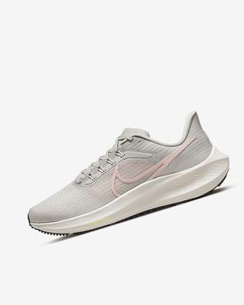 Buty do Biegania Damskie Nike Air Zoom Pegasus 39 Głęboka Brązowe | PL_2981